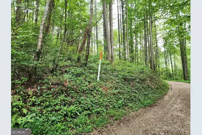 Tract 2A Poplar Cove Trail, Suches, GA 30572 - Photo 5