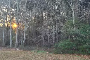 2822 SE Briar Hill Ln SE, Conyers, GA 30013 - Photo 3