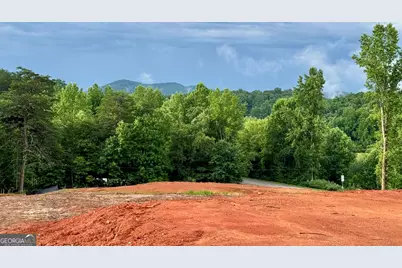 25 Caudell Drive, Cleveland, GA 30528 - Photo 1