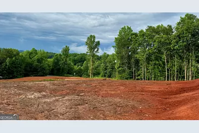 25 Caudell Drive, Cleveland, GA 30528 - Photo 5