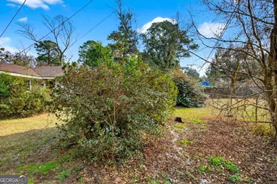 6 Prince Charles Court, Savannah, GA 31406 - Photo 33