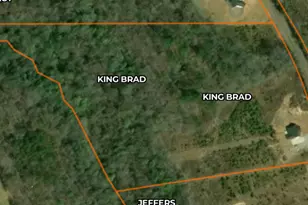 2110 Sullivan Mill Rd, Senoia, GA 30276 - Photo 45