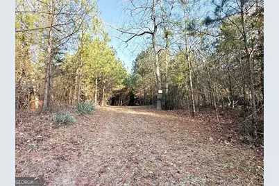 0 Stinchcomb Road, Elberton, GA 30635 - Photo 3