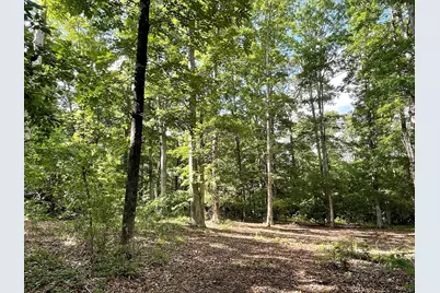 0 Stinchcomb Road, Elberton, GA 30635 - Photo 11