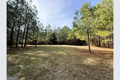 0 Stinchcomb Road, Elberton, GA 30635 - Photo 9