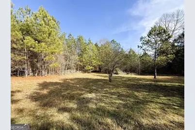 0 Stinchcomb Road, Elberton, GA 30635 - Photo 1