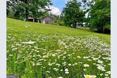 1994 Camp Creek Rd., Lakemont, GA 30552 - Photo 83