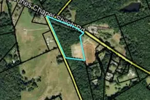 Tract 1 Jones Chapel Shiloh Rd, Danielsville, GA 30633 - Photo 1