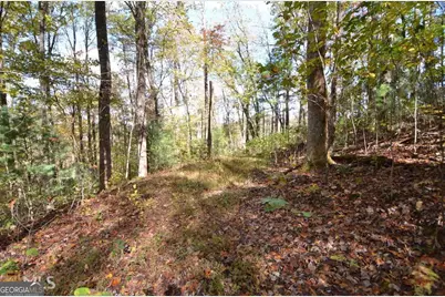 0 Alto Lane, Rabun Gap, GA 30568 - Photo 7