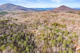 132 Chattahoochee Acres Dr, Cleveland, GA 30528 - Photo 53