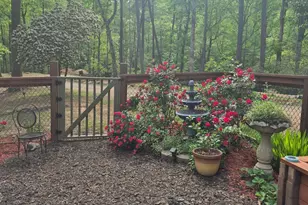 132 Chattahoochee Acres Dr, Cleveland, GA 30528 - Photo 57