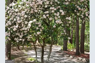 132 Chattahoochee Acres Drive, Cleveland, GA 30528 - Photo 59