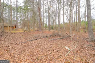 207 N View Pointe Dr, Lagrange, GA 30241 - Photo 61