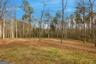 221 Grindstone Creek Drive, Clarkesville, GA 30523 - Photo 41