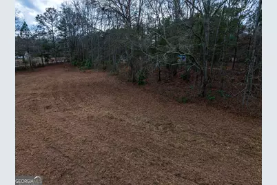 2.83 Acres Williams Road, Shiloh, GA 31826 - Photo 15