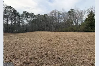 2.83 Acres Williams Road, Shiloh, GA 31826 - Photo 11