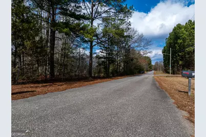 2.83 Acres Williams Road, Shiloh, GA 31826 - Photo 19