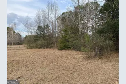 2.83 Acres Williams Road, Shiloh, GA 31826 - Photo 9