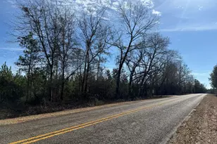 15 Dozier Rd, Ellaville, GA 31806 - Photo 1