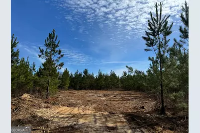 15 Dozier Road, Ellaville, GA 31806 - Photo 3