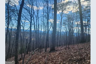 0 Trackrock Gap Road, Blairsville, GA 30514 - Photo 1