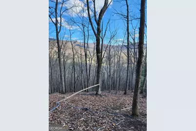 0 Trackrock Gap Road, Blairsville, GA 30514 - Photo 7