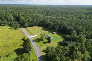 1597 Dairy Rd, Hinesville, GA 31313 - Photo 55