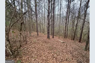 125 Cardell Farms Road #57, Locust Grove, GA 30248 - Photo 3