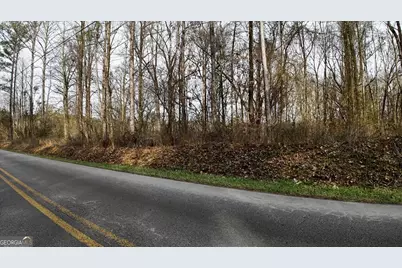 0 Swan Bridge Road, Talking Rock, GA 30175 - Photo 3