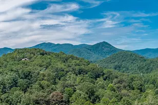 198 Stonecreek Dr, Franklin, NC 28734 - Photo 111