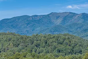 198 Stonecreek Dr, Franklin, NC 28734 - Photo 113