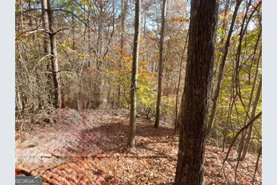 0 Hyalite Road W, Dahlonega, GA 30533 - Photo 1