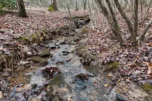 126 Stacy Ln, Blairsville, GA 30512 - Photo 5