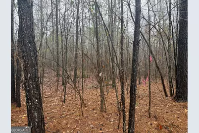 3.34 Acres Buck Circle, Grantville, GA 30220 - Photo 13