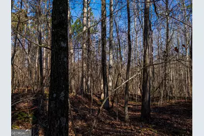 3.34 Acres Buck Circle, Grantville, GA 30220 - Photo 9