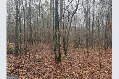 3.34 Acres Buck Circle, Grantville, GA 30220 - Photo 19