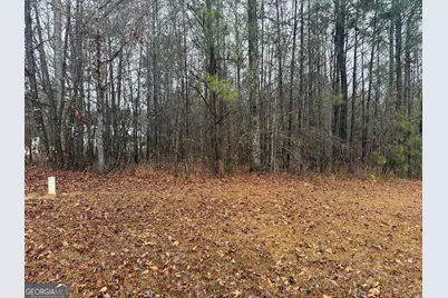 3.34 Acres Buck Circle, Grantville, GA 30220 - Photo 15