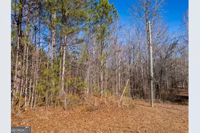 3.34 Acres Buck Circle, Grantville, GA 30220 - Photo 11