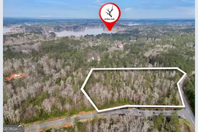 1 Peninsula Drive, Monticello, GA 31064 - Photo 11