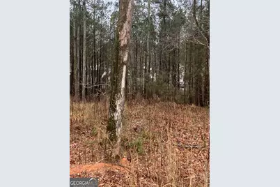 6661 Highway 42 Highway, Rex, GA 30273 - Photo 5