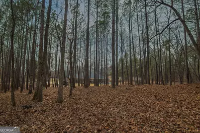 3056 Bentley Drive, Upatoi, GA 31829 - Photo 59