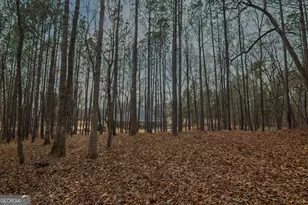 3056 Bentley Dr, Upatoi, GA 31829 - Photo 59