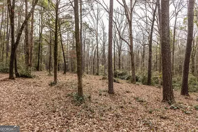 202 Daniel Road, Thomaston, GA 30286 - Photo 49