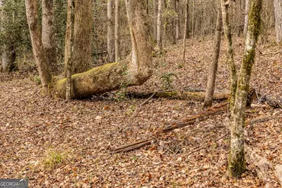 202 Daniel Road, Thomaston, GA 30286 - Photo 25