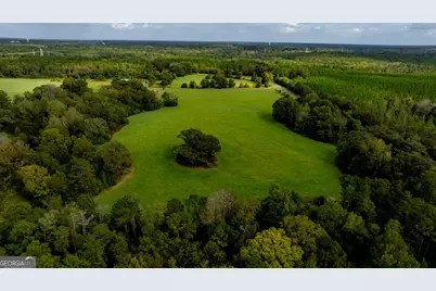 2141 Ebenezer Road, Ellaville, GA 31806 - Photo 49