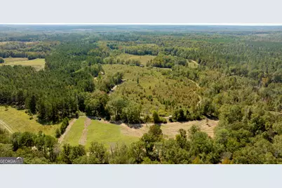 0 Poole Road, Ellaville, GA 31806 - Photo 13