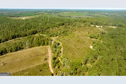 0 Poole Road, Ellaville, GA 31806 - Photo 11
