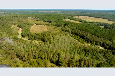 0 Poole Road, Ellaville, GA 31806 - Photo 5