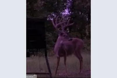 0 Poole Road, Ellaville, GA 31806 - Photo 23