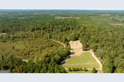 0 Poole Road, Ellaville, GA 31806 - Photo 17